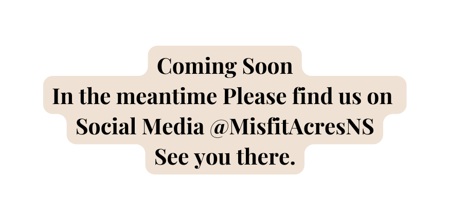 Coming Soon In the meantime Please find us on Social Media MisfitAcresNS See you there